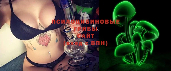 spice Богородск