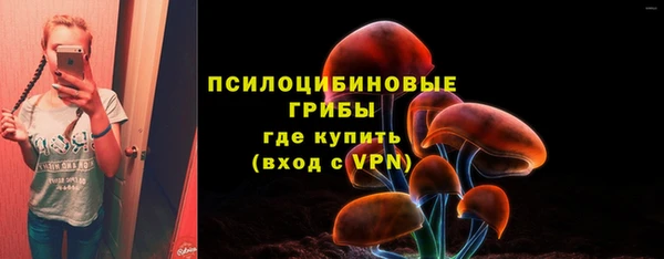 МДМА Бородино
