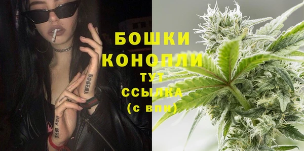 кокс Богородицк