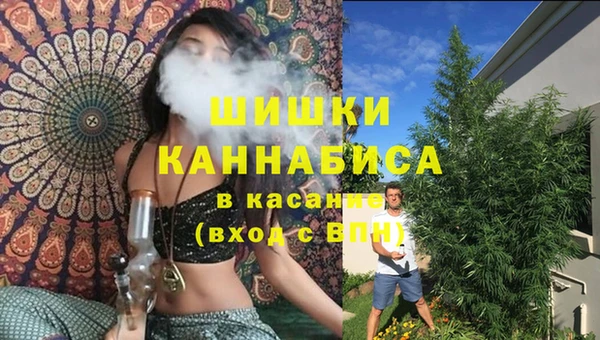 мяу мяу кристалл Богданович