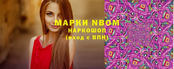кокс Богородицк