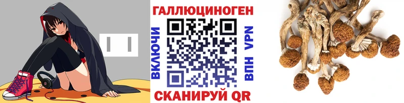 Галлюциногенные грибы прущие грибы  Карталы 